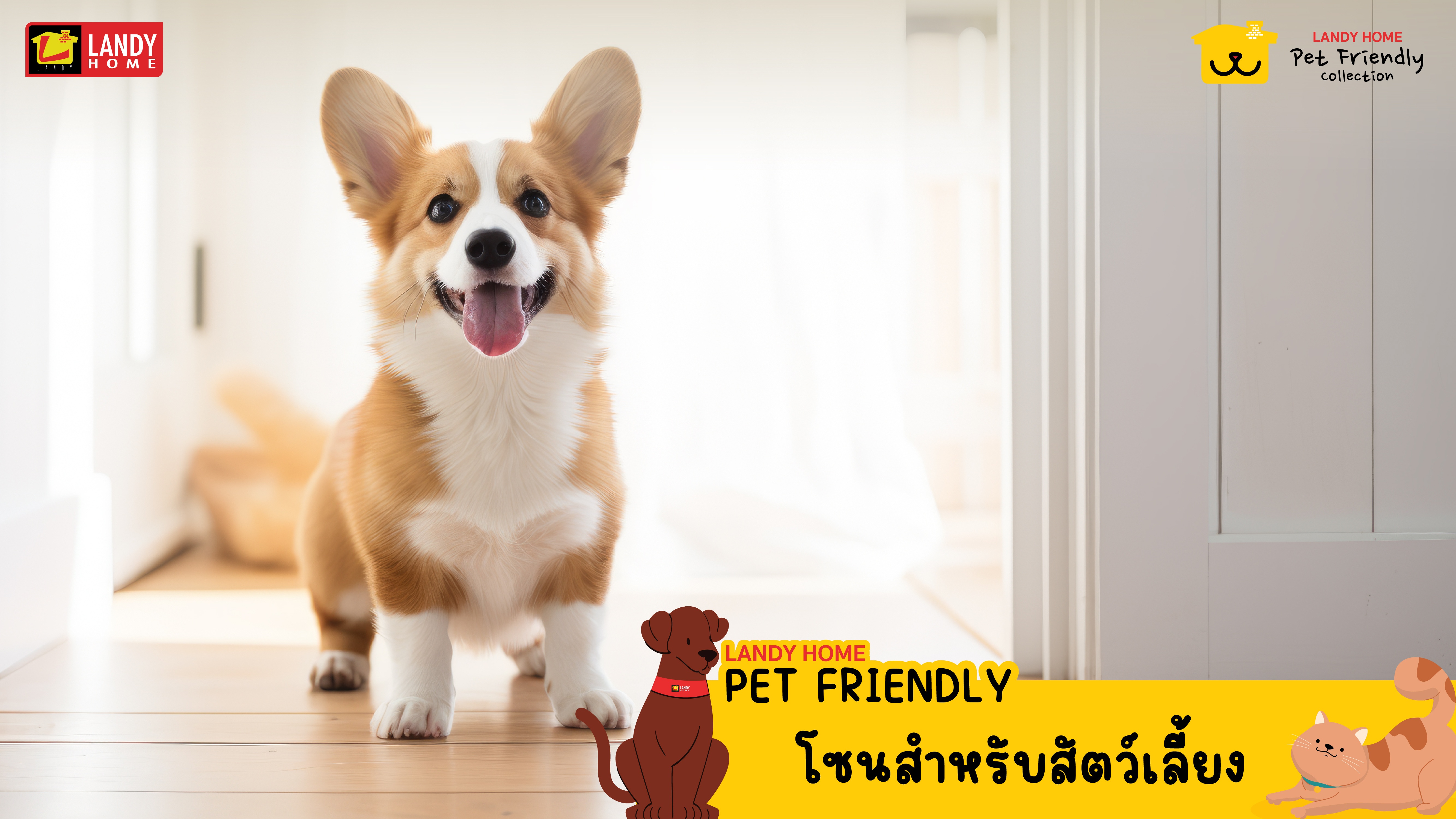 มุมพักผ่อนเฉพาะตัวของสัตว์เลี้ยง